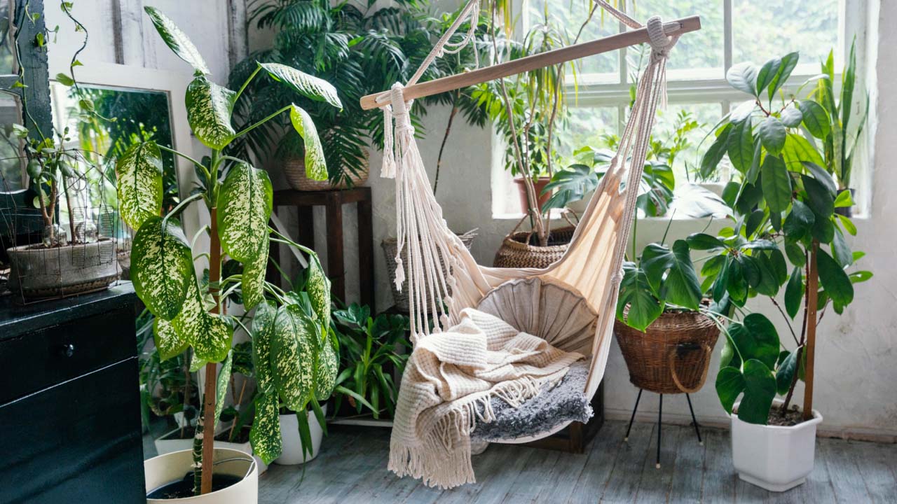 Planten in huis halen die je huis oprfrissen