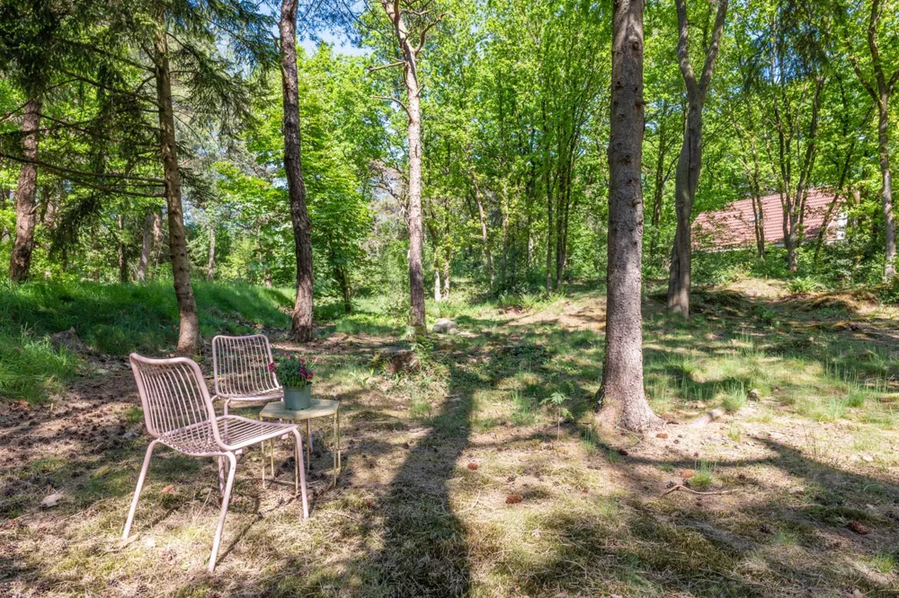 het bos rond het boshuisje