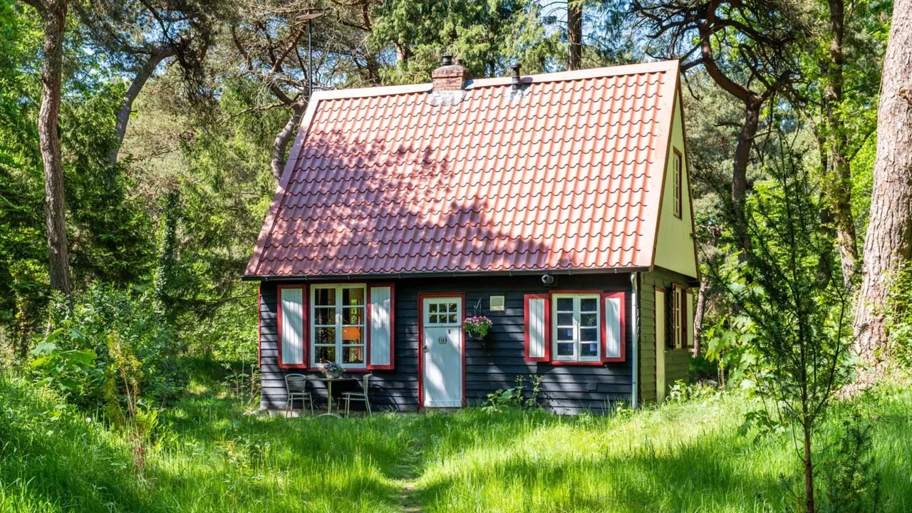 Boshuisje in Norg