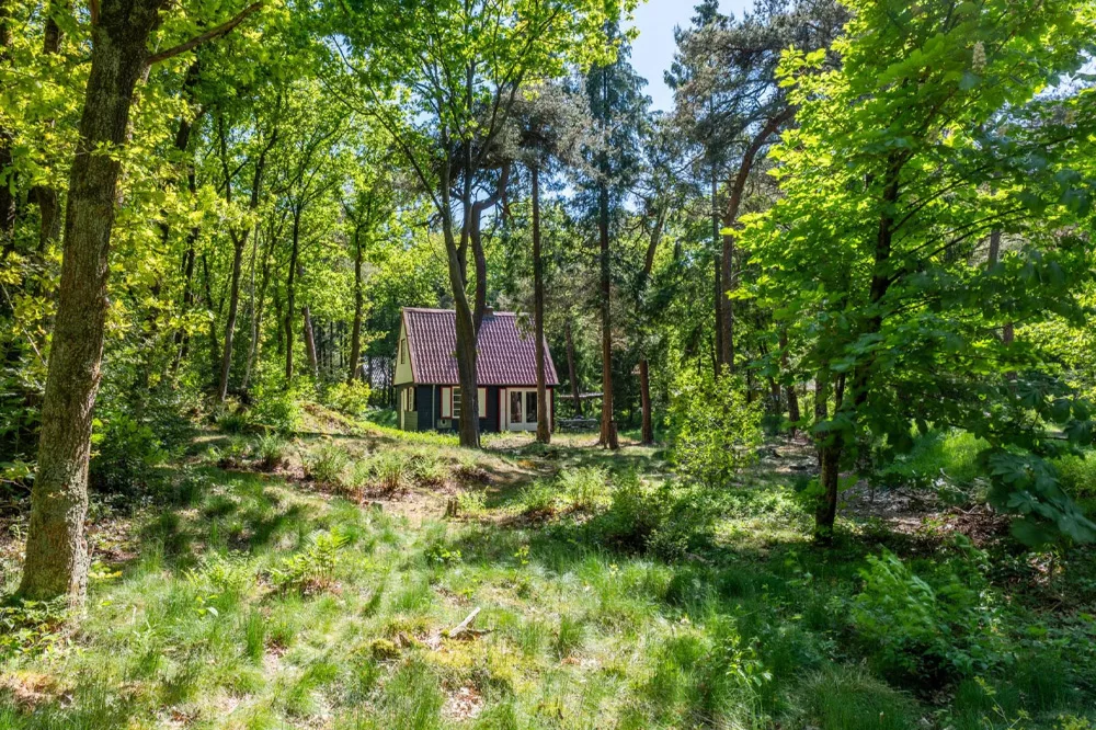 Boshuisje ver tussen de bomen